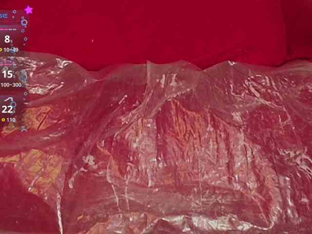 queensquirtluna webcam