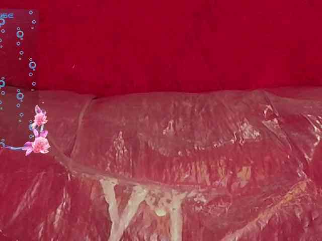 queensquirtluna webcam