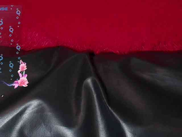 queensquirtluna webcam