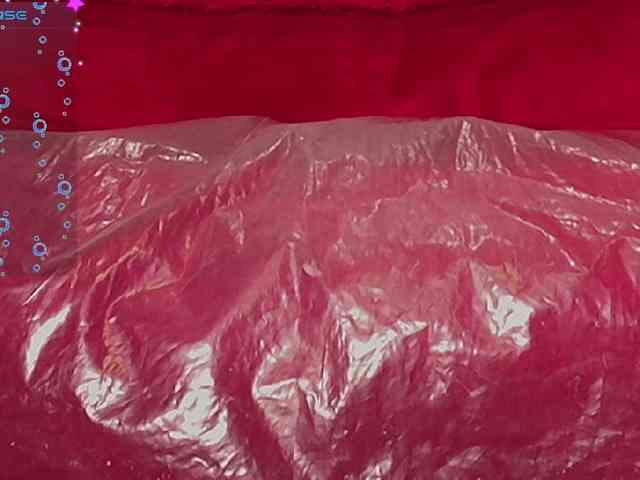 queensquirtluna webcam