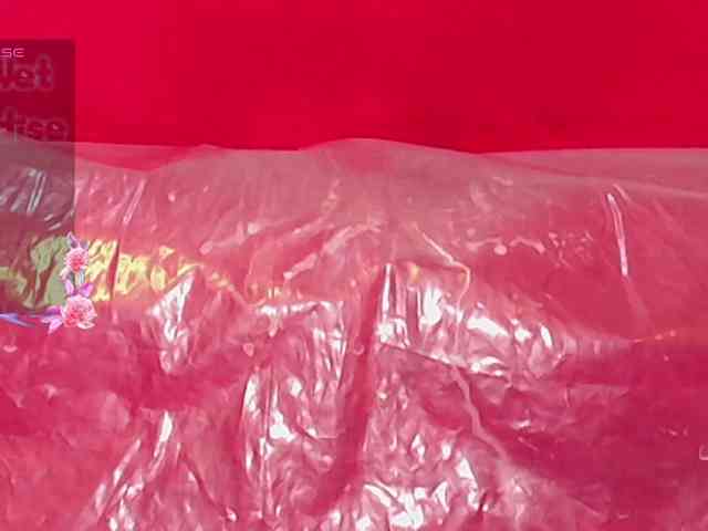 queensquirtluna webcam