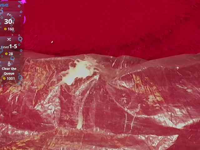 queensquirtluna webcam