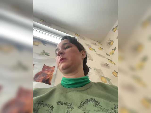 Preview of saliionli