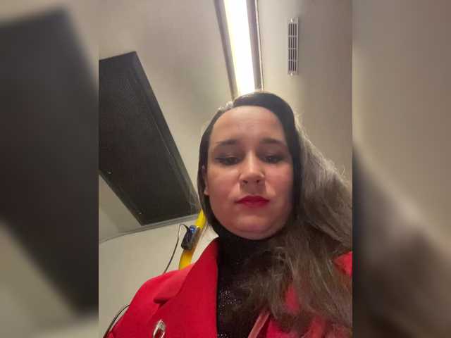 Preview of saliionli