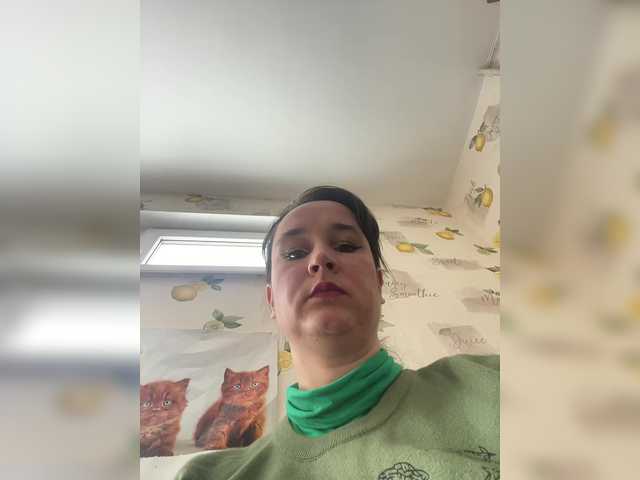 Preview of saliionli