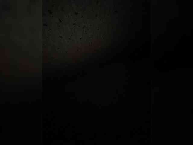 SaliiOnli webcam