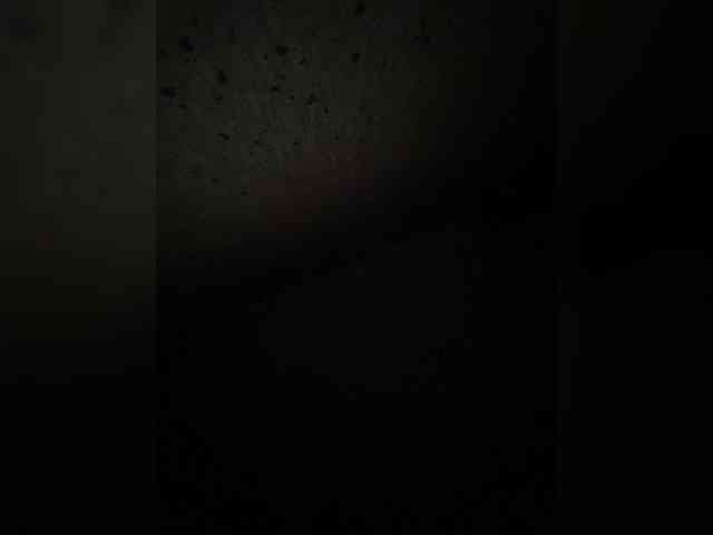 SaliiOnli webcam