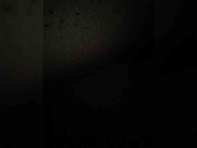 SaliiOnli webcam