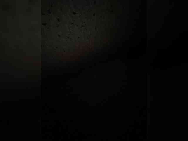 SaliiOnli webcam