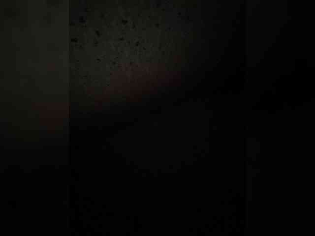 SaliiOnli webcam