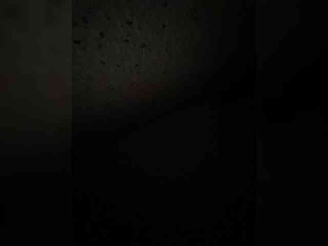 SaliiOnli webcam