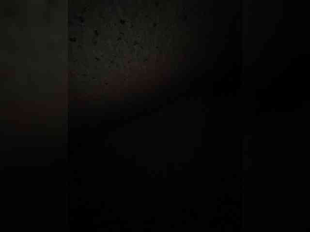 SaliiOnli webcam