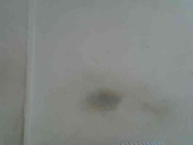 Hot-Perry webcam