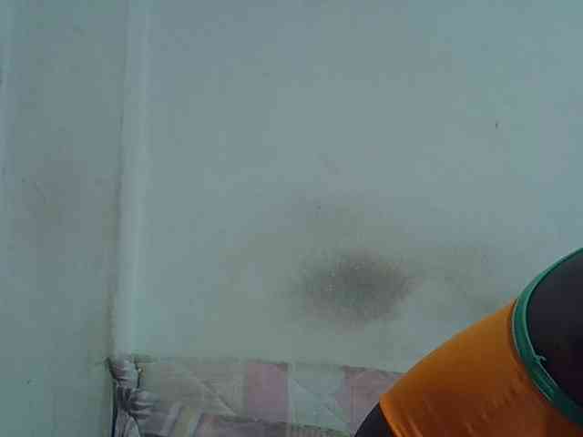 Hot-Perry webcam