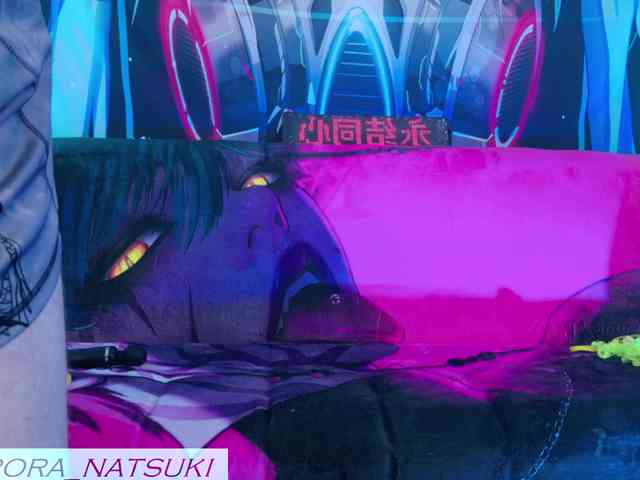 Aurora-Natsuki webcam