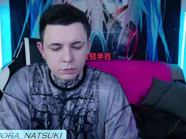 Aurora-Natsuki webcam