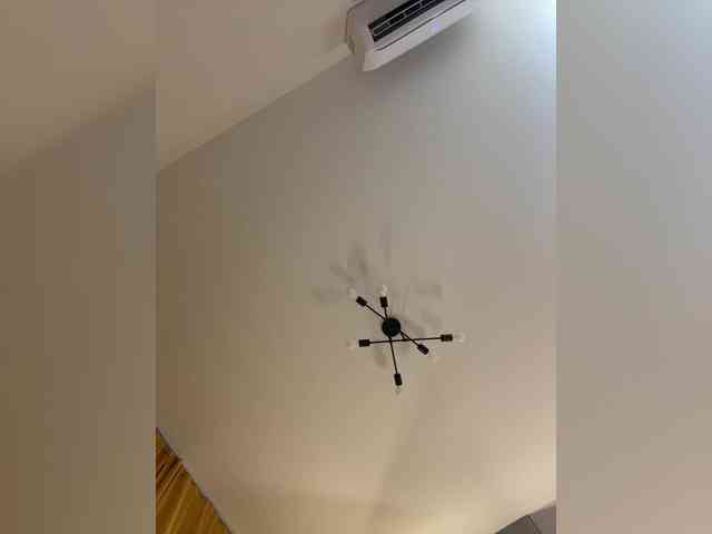 _sakura_ webcam