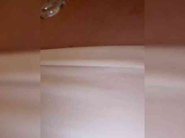 jskchwkdbcn's webcam live show