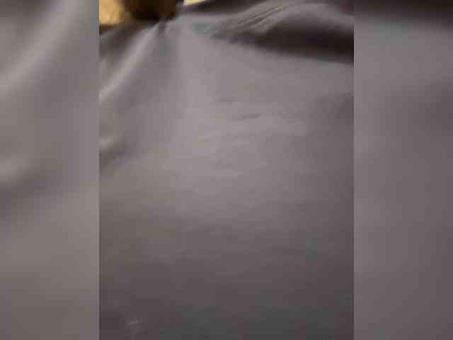 jskchwkdbcn's webcam live show