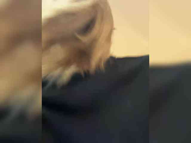 jskchwkdbcn jskchwkdbcn