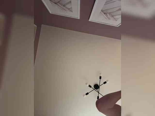 _sakura_ webcam