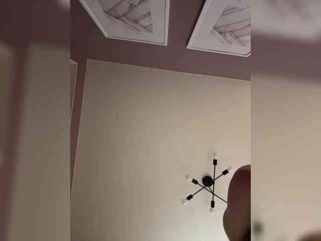 _sakura_ webcam