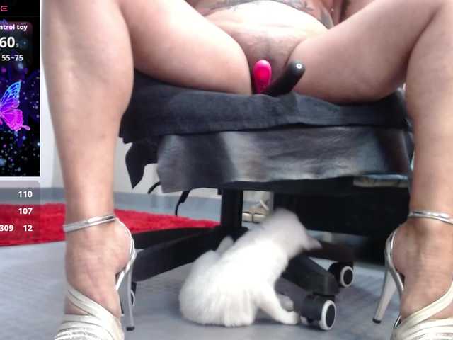 SolVegaa's BongaCams show and profile