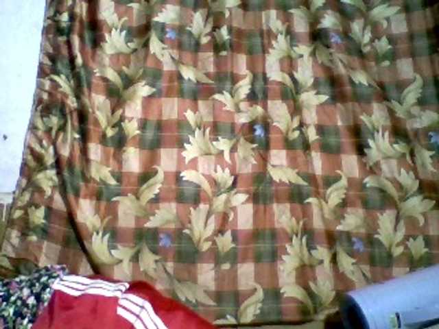 BigHairypussy's BongaCams show and profile