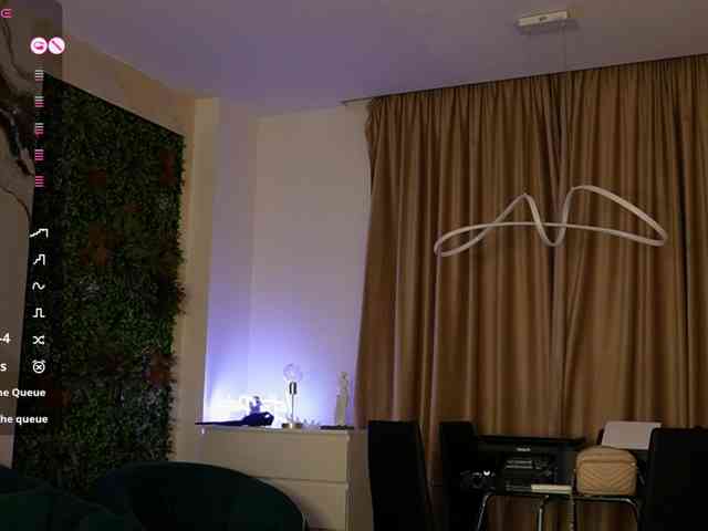 blondie-muller webcam
