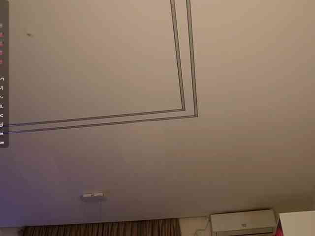 blondie-muller webcam