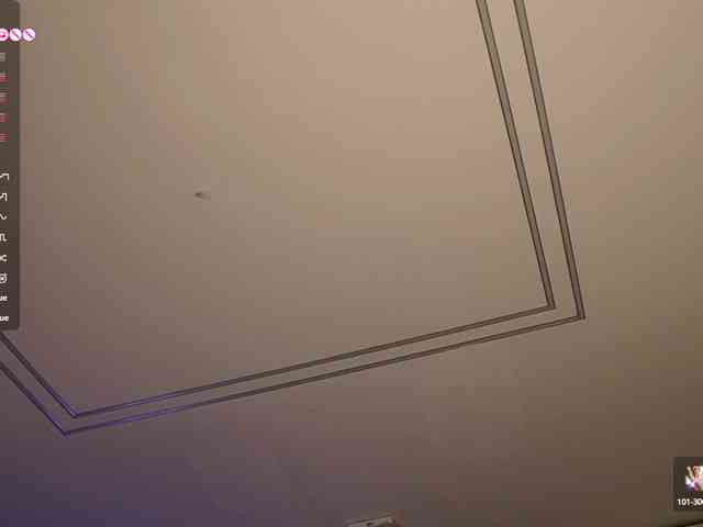 blondie-muller webcam