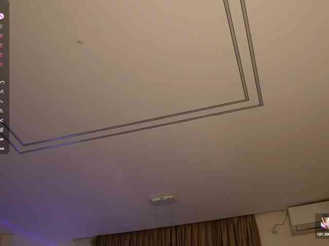 blondie-muller webcam
