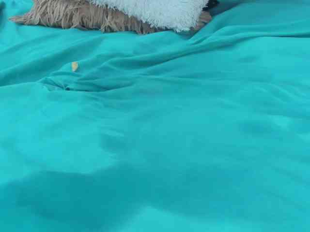 Melody-Megann webcam