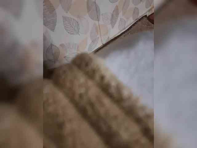 AnalnayaVecherina webcam