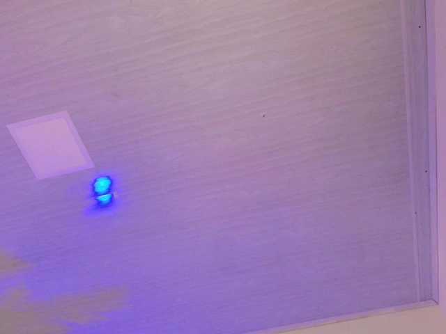 Preview of pammela-smith