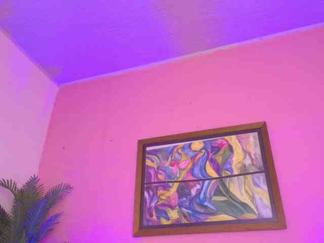 Pammela-Smith webcam