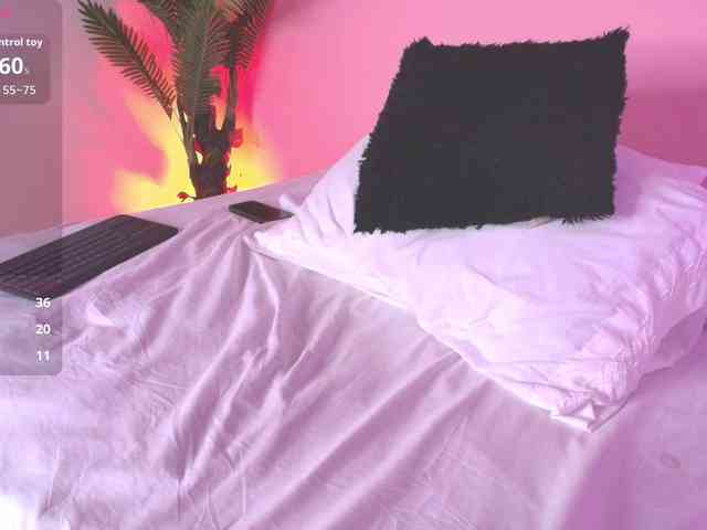 Pammela-Smith webcam