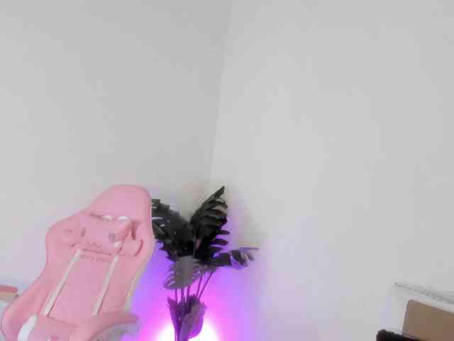 Pammela-Smith webcam