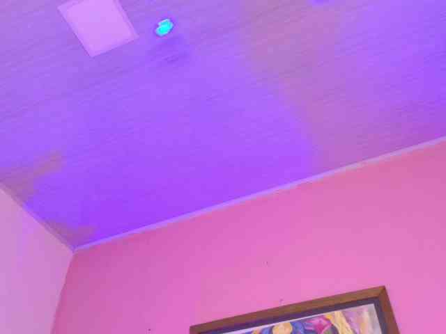 Pammela-Smith webcam