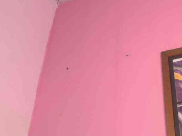 Pammela-smith Pammela-smith