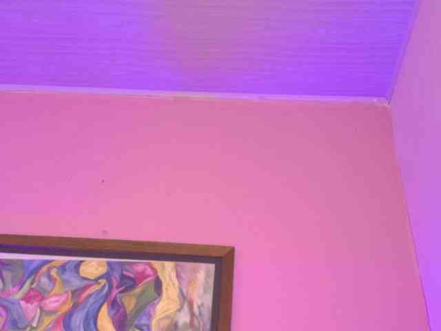 Pammela-Smith webcam