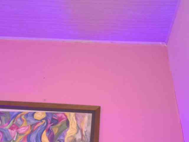 Pammela-Smith webcam