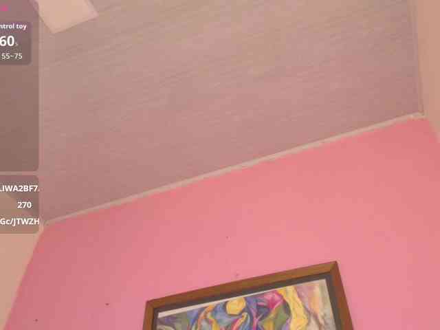 Pammela-Smith webcam