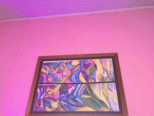 Pammela-smith Pammela-smith