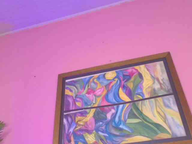 Pammela-Smith webcam