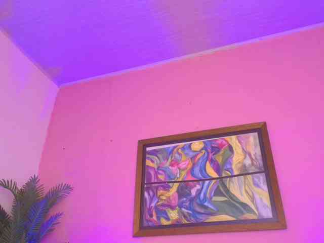 Pammela-Smith webcam