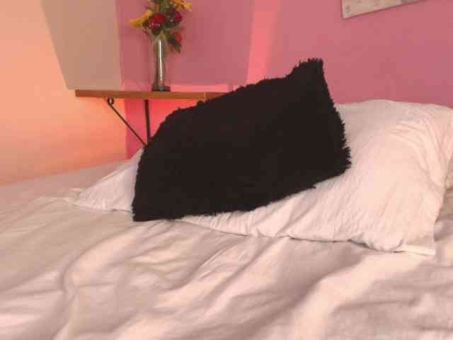 Pammela-Smith webcam