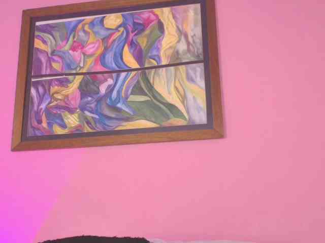 Pammela-Smith webcam