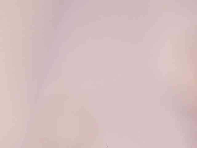 Pammela-Smith webcam