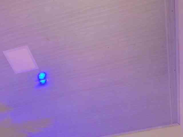 Pammela-smith Live Webcam on BongaCams